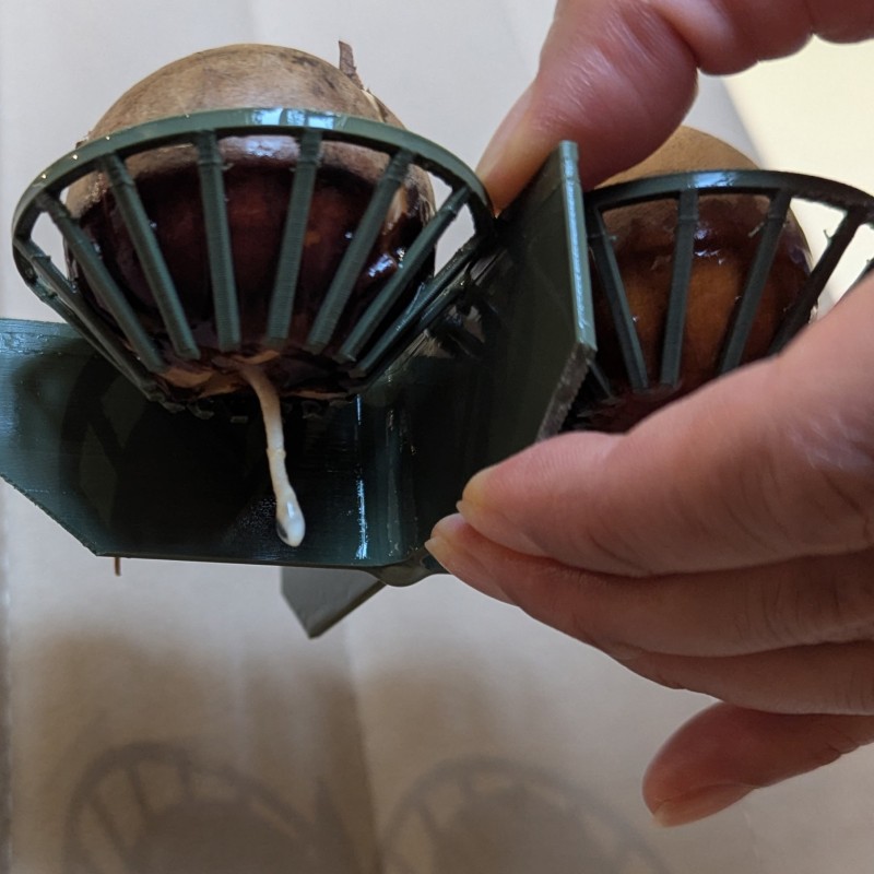 Avokádó magcsíráztató tál