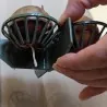 Avocado Seed Germination Bowl
