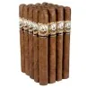 HAV. COROJO Tobacco Seeds