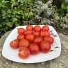 Harmony Organic Cherry Tomato Seeds | €2.00