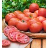 Heinz 1370 Tomato Seeds | €2.00