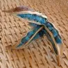 Samen der Reisenden Palme (Ravenala Madagascariensis)
