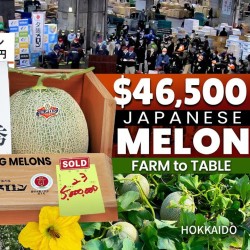 Variedades de Japón