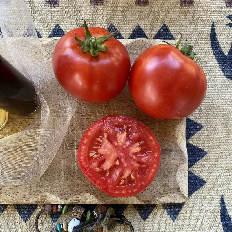 Heinz 1370 Tomatensamen