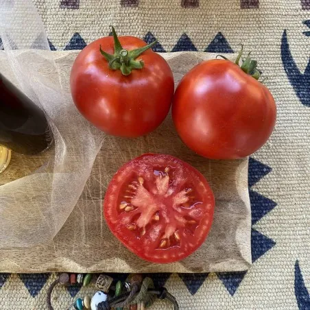 Heinz 1370 Tomatensamen
