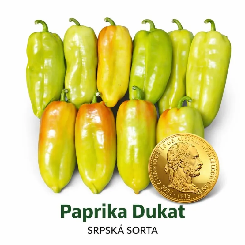 Dukat édes paprika magok