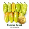 Semillas de pimiento dulce DUKAT