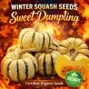 Winter Squash Seeds Sweet Dumpling