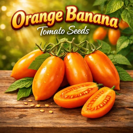 Semillas de Tomate Naranja Plátano
