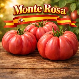 Semillas de tomate acostillado Monte Rosa - 2.55