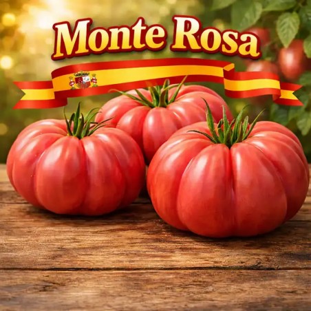 Monte Rosa Räfflad Rosa Tomatfrön