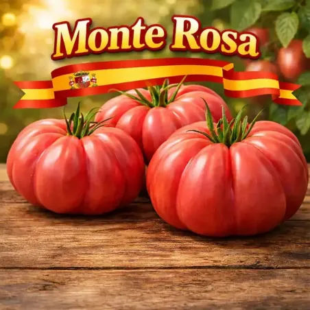 Monte Rosa Ribbed Pink Tomato Seeds