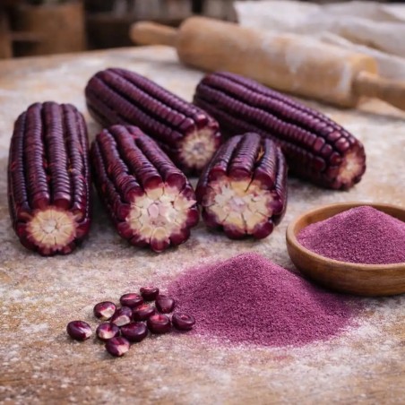 Graines de maïs rouge 8 rangs héritage