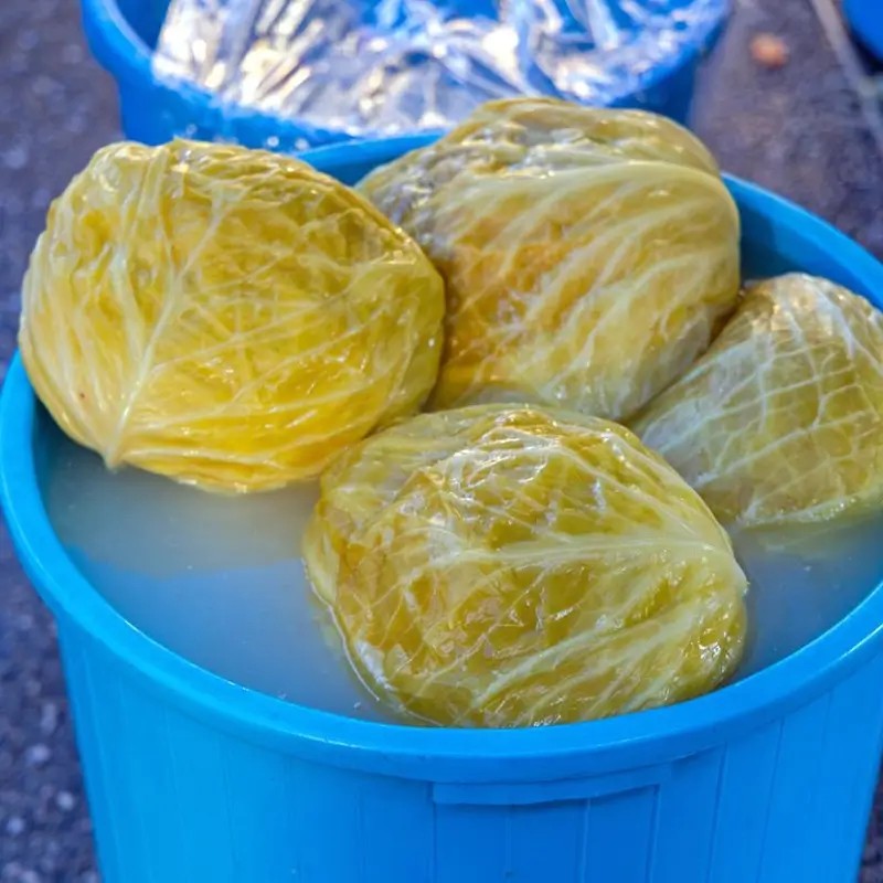 4000 seeds Futog Cabbage Heirloom