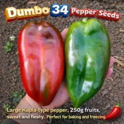 Σπόροι πιπεριάς