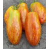 Randiga Roman-tomatsfrön