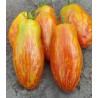 Sementes de Tomate Striped Roman