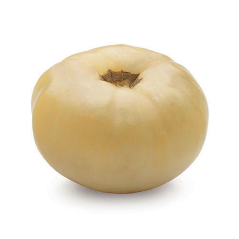 Semi di pomodoro Miracolo Bianco (White Wonder)