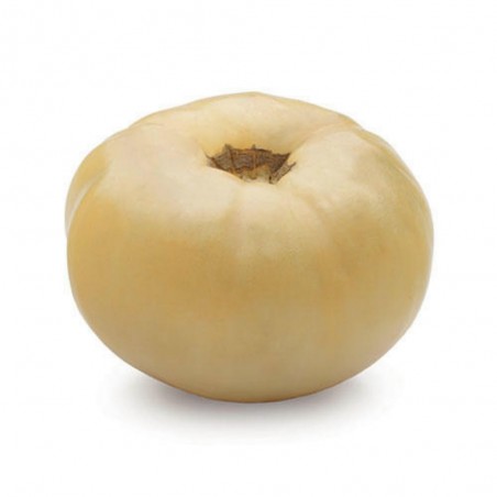 Price: €2.3 - Graines de tomate Merveille Blanche (White Wonder) - Seeds Gallery