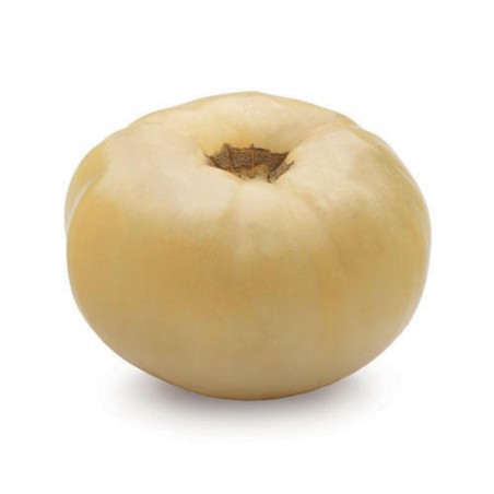 Semi di pomodoro Miracolo Bianco (White Wonder)