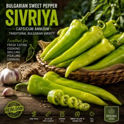 Σπόροι Βουλγαρικής Γλυκιάς Πιπεριάς Sivriya