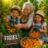 Semillas de Tomate Cherry Figiel
