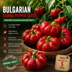 Semillas de pimiento Bulgarian Ratund