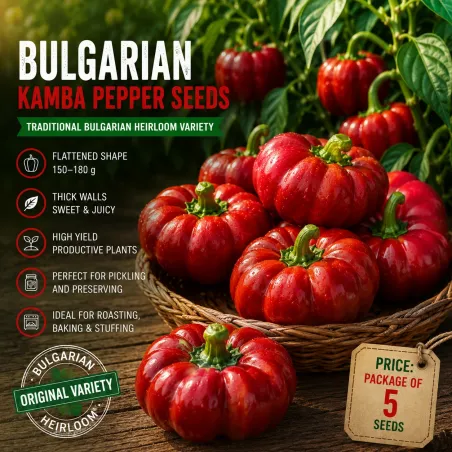 Semințe Ardei Bulgarian Ratund