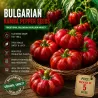 Bulgariska Ratund paprikafrön