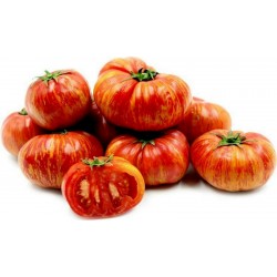 Price: €1.85 - Semillas de tomate Tigerella - Seeds Gallery
