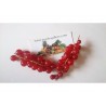 Price: €1.95 - Semi di Ribes rosso (Ribes rubrum) - 