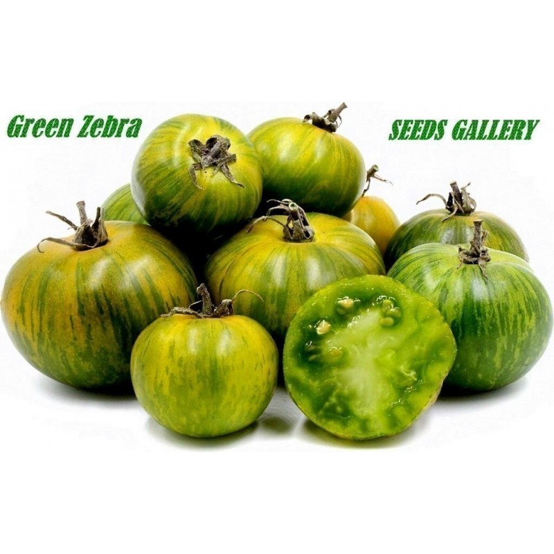 Price: €1.95 - Σπόροι Ντομάτα Πράσινο Ζέβρα (Green Zebra) - Seeds Gallery