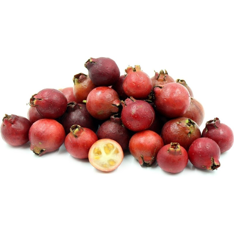 Graines de Goyavier de Chine (Psidium cattleianum)