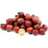 Sementes de Araçá-rosa (Psidium cattleianum)