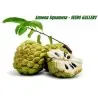 Rahmapfel Zimtapfel Samen (Annona squamosa)