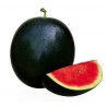 Price: €1.75 - Semillas de sandía Sugar Baby - 