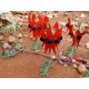 Semi di Pisello del deserto (Swainsona formosa) | 1,95 €