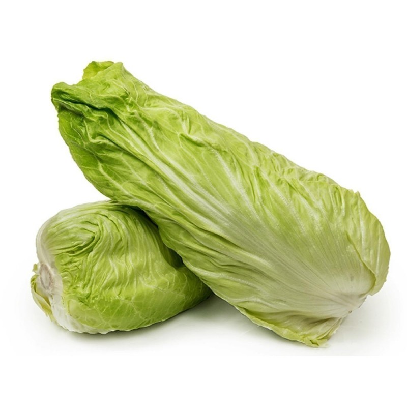 Ραντίτσιο - Ραδίκια Σπόροι "Pan di Zucchero"