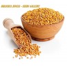 Price: €1.35 - Graines de Moutarde Brune (Brassica juncea) - 