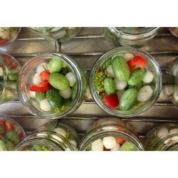 Cucamelon seeds - Mexican Sour Gherkin Cucumber 