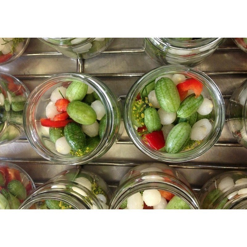 Graines de Cucamelon - Mini pastèque