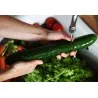 Semillas de Pepino Sensación