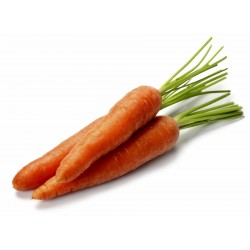 Price: €2.5 - Danvers Καρότο σπόροι - 