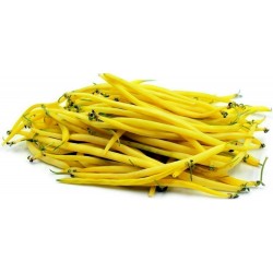 Price: €1.5 - Σπόροι Φασόλι κίτρινο 'Maxidor' - Unbranded