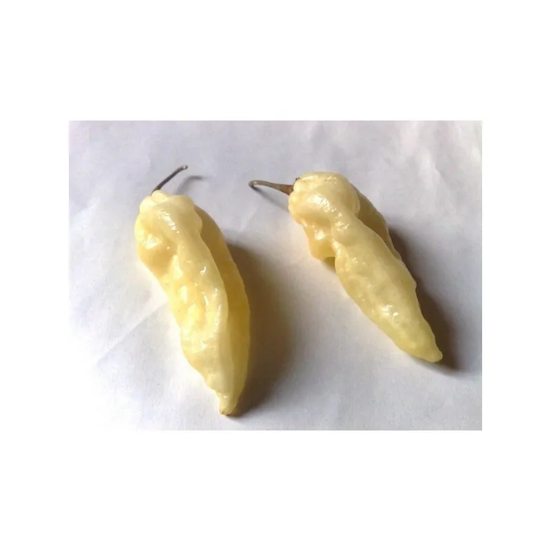 Semillas De Chile "Fatalii White"