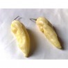 Price: €2.5 - "Fatalii White" Chili Seeds - 