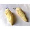 "Fatalii White" Chili Seeds