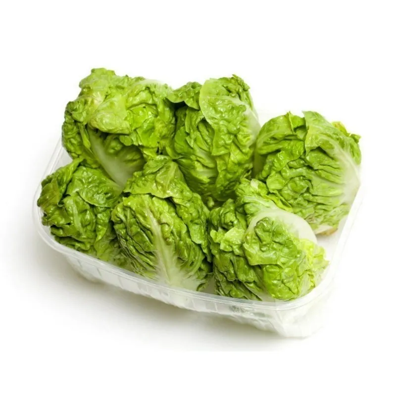 Great Lakes 118 Lettuce Seed