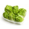 Price: €2.25 - Frö Isbergssallad Great Lakes 118 - 