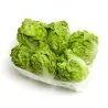 Great Lakes 118 Lettuce Seed